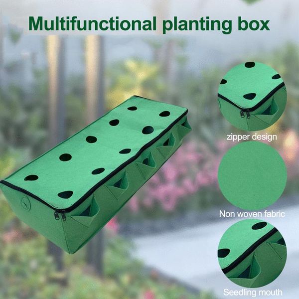 seedling box multifunctional non-woven fabric breathable planting bag for plants saplings to prevent ing damage
seedling box multifunctional non-woven fabric breathable planting bag for plants saplings to prevent ing damage