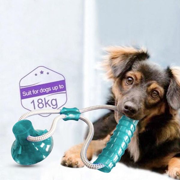 cat toys grappige kattenstok multifunction pet molar toy cleaning teeth with suction cup safe for dog puppy interactive toys#20
cat toys grappige kattenstok multifunction pet molar toy cleaning teeth with suction cup safe for dog puppy interactive toys#20