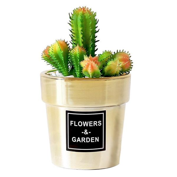 decorative flowers & wreaths nordic style simulation cactus succulents golden small potted plant window home decoration ornaments
decorative flowers & wreaths nordic style simulation cactus succulents golden small potted plant window home decoration ornaments