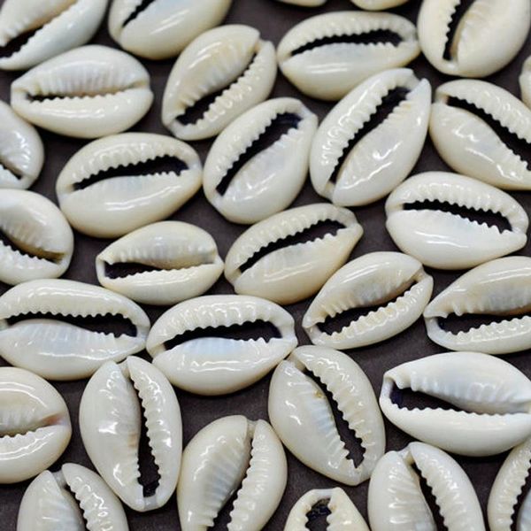 other 50pcs white diy sea shell cowrie cowry charm beads beach jewelry accessories for women shells earrings bracelet necklace
other 50pcs white diy sea shell cowrie cowry charm beads beach jewelry accessories for women shells earrings bracelet necklace