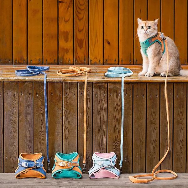 cat collars & leads fashion kennel pet harness + leash set training walking for small cats dogs floral print collar adjust leashes
cat collars & leads fashion kennel pet harness + leash set training walking for small cats dogs floral print collar adjust leashes