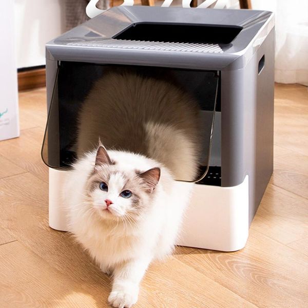 other cat supplies fold bedpan litter box fully enclosed deodorant pet toilet with shovel high capacity tray within 10kg
other cat supplies fold bedpan litter box fully enclosed deodorant pet toilet with shovel high capacity tray within 10kg