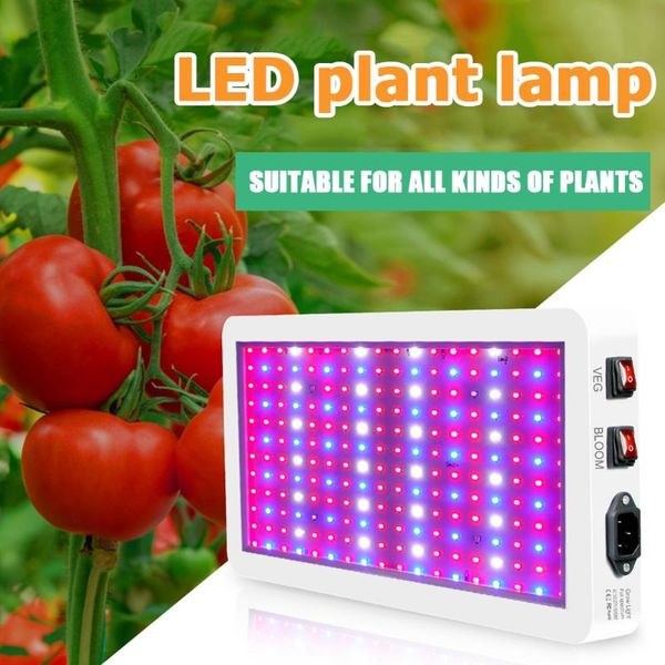 flowers plants hydroponic lamp plant growth lights lamp bulb led seedlings growing light for greenhouse tent
flowers plants hydroponic lamp plant growth lights lamp bulb led seedlings growing light for greenhouse tent