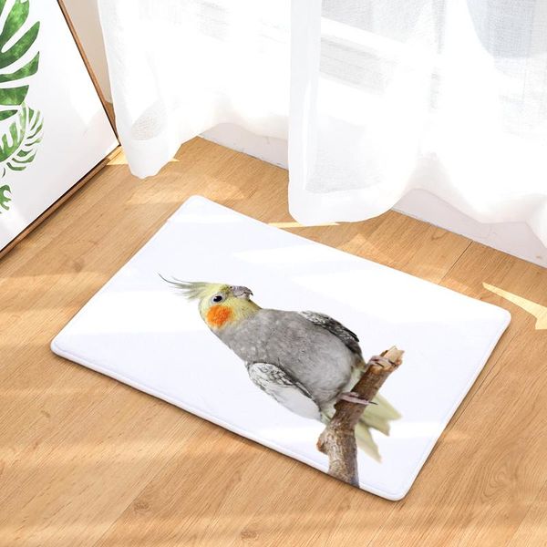 cushion/decorative pillow parrot print entrance doormat decorative cartoon pattern anti slip living room rectangle carpet home decor kitchen
cushion/decorative pillow parrot print entrance doormat decorative cartoon pattern anti slip living room rectangle carpet home decor kitchen