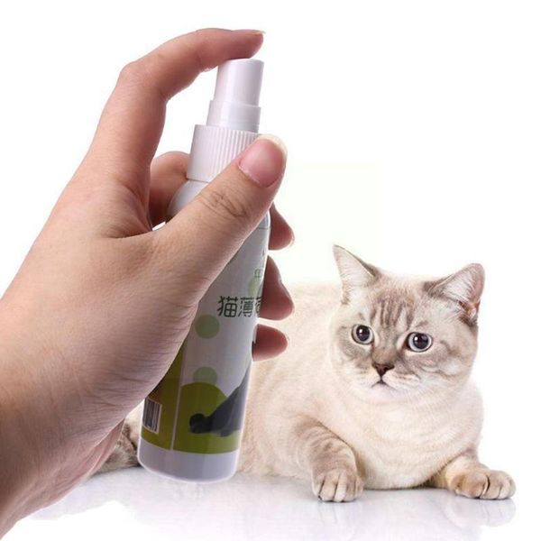 cat toys 50ml catnip spray excitement toy organic natural healthy inducer scratch funny t3o7
cat toys 50ml catnip spray excitement toy organic natural healthy inducer scratch funny t3o7