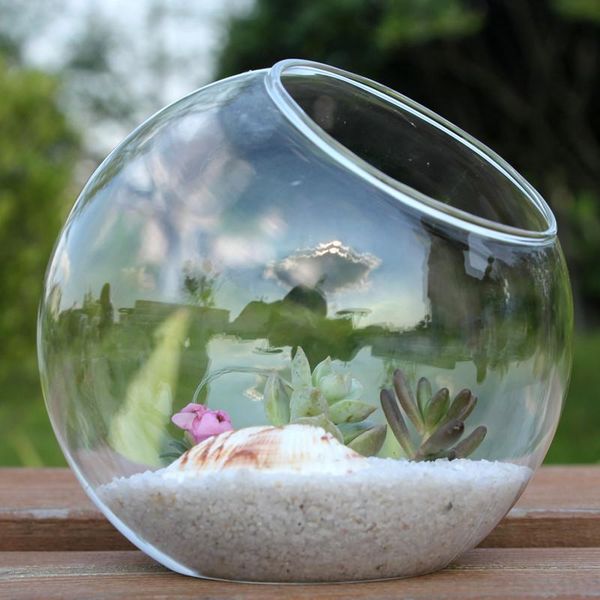 novelty items diameter=8cm 12pcs/pack side open glass ball vase oblique mouth terrarium home decorative creative gift
novelty items diameter=8cm 12pcs/pack side open glass ball vase oblique mouth terrarium home decorative creative gift