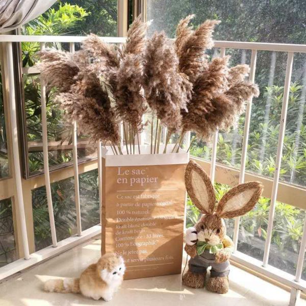 10pcs natural dried pampas grass reed flower bunch wedding bouquet decoration
10pcs natural dried pampas grass reed flower bunch wedding bouquet decoration