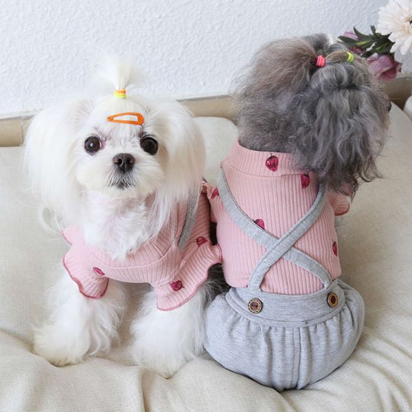 ysgj 2020 new strawberri flying sleeve flash piece four legged cloth tianchong cloth pet autumn and winter cloth
ysgj 2020 new strawberri flying sleeve flash piece four legged cloth tianchong cloth pet autumn and winter cloth