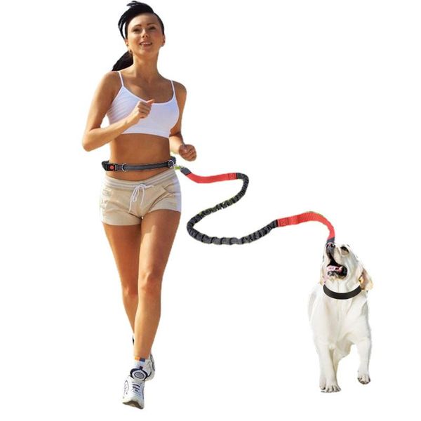 dog collars & leashes pet traction rope running belt elastic hands y jogging pull metal d-ring portable hanging type high elasticity
dog collars & leashes pet traction rope running belt elastic hands y jogging pull metal d-ring portable hanging type high elasticity