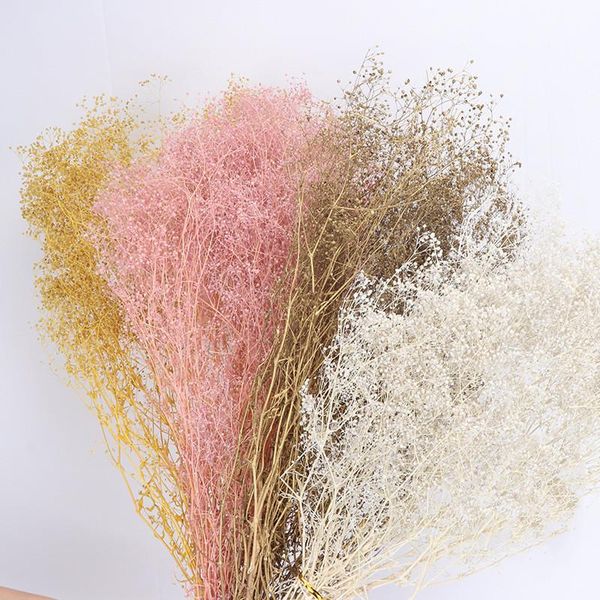 50g natural dry gypsophile fresh forever babysbreath dried preserved flowers for diy eternal flower material wedding bedroom
50g natural dry gypsophile fresh forever babysbreath dried preserved flowers for diy eternal flower material wedding bedroom