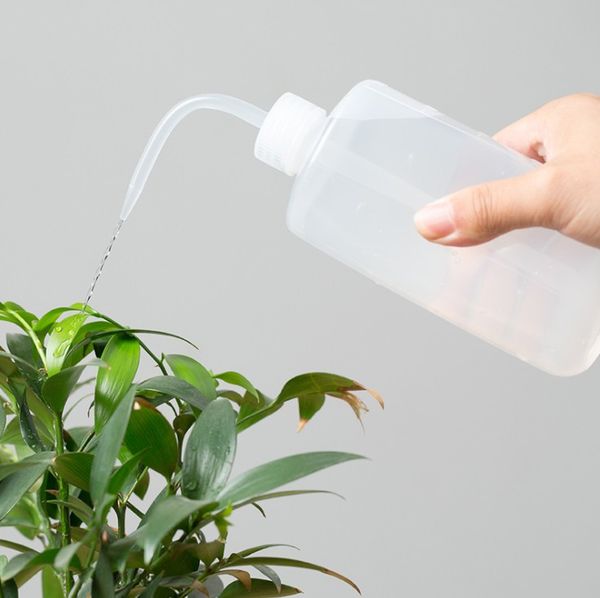 250/500ml mini plastic plant flower watering bottle sprayer curved mouth watering can diy gardening transparent for succulent plant
250/500ml mini plastic plant flower watering bottle sprayer curved mouth watering can diy gardening transparent for succulent plant