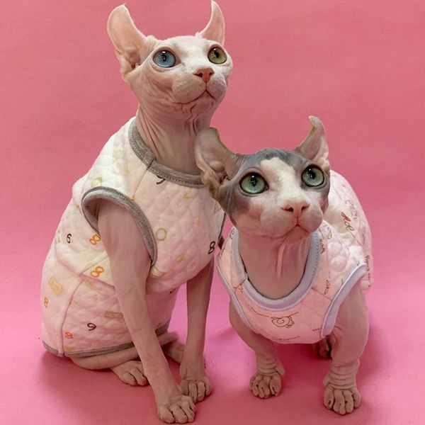 cat costumes sphynx clothes winter warm thick for sphinx kitten print cotton fashion sphinksu clothing jacket coat sphinsk
cat costumes sphynx clothes winter warm thick for sphinx kitten print cotton fashion sphinksu clothing jacket coat sphinsk