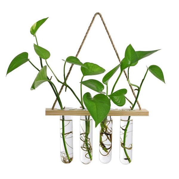 vases creative wall hanging hydroponics vase flower pot home rack bud terrariums wooden tube deskstand tableglass planter
vases creative wall hanging hydroponics vase flower pot home rack bud terrariums wooden tube deskstand tableglass planter