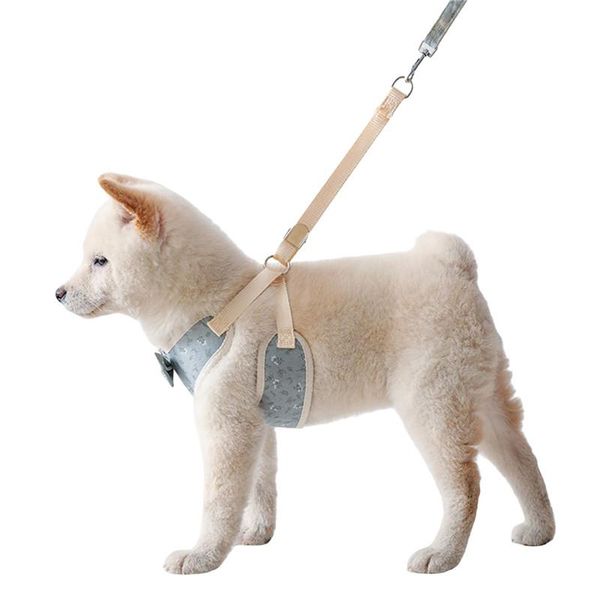 2021 dog adjustable harness vest walking lead leash for puppy dogs collar polyester mesh harness for small medium dog cat pet
2021 dog adjustable harness vest walking lead leash for puppy dogs collar polyester mesh harness for small medium dog cat pet