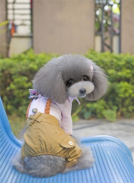 dog apparel cool clothes jumpsuit romper spring pet coat jacket wedding costume clothing for small dogs
dog apparel cool clothes jumpsuit romper spring pet coat jacket wedding costume clothing for small dogs