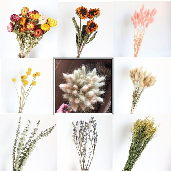 decorative flowers & wreaths dried pampas grass cotton sun pantas artificiales para decoracion real plants home decor wedding decoration
decorative flowers & wreaths dried pampas grass cotton sun pantas artificiales para decoracion real plants home decor wedding decoration