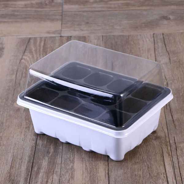 planters & pots 5 sets 12 holes tray reusable sprout box garden seed starting succulent pot grow for
planters & pots 5 sets 12 holes tray reusable sprout box garden seed starting succulent pot grow for