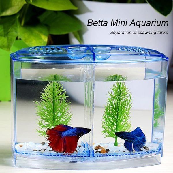 odorless betta fish tank aquarium diy ornament partition shrimp fishbowl goldfish spawning box fish tank aquarium
odorless betta fish tank aquarium diy ornament partition shrimp fishbowl goldfish spawning box fish tank aquarium