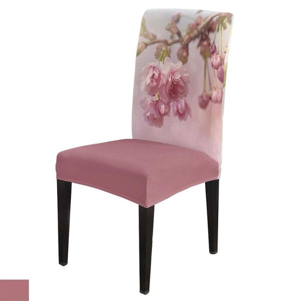 chair covers 6/8piece cherry blossoms print cover dining elastic spandex stretch anti-dirty removable
chair covers 6/8piece cherry blossoms print cover dining elastic spandex stretch anti-dirty removable