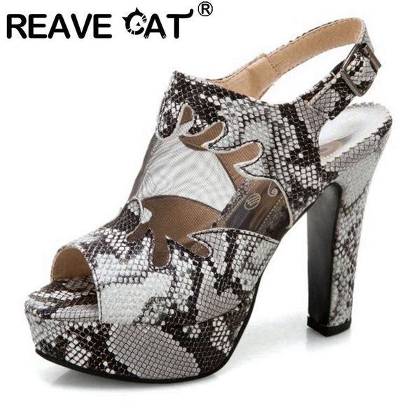 reave cat new 2021 women sandals open toe 11.5cm block heels buckle snake-skin mesh stylish platform big size 34-50 a3911, Black
reave cat new 2021 women sandals open toe 11.5cm block heels buckle snake-skin mesh stylish platform big size 34-50 a3911, Black