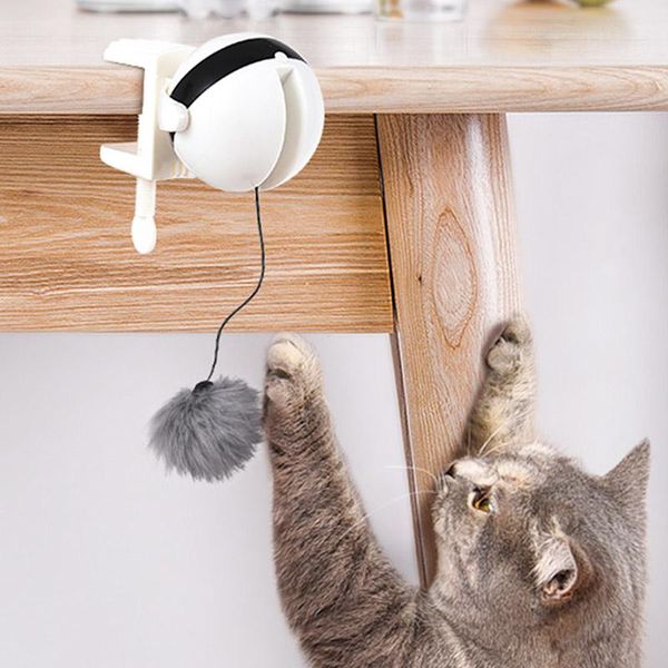 cat toys self playing toy teaser automatic lifting electric ball with fluffy uyt shop
cat toys self playing toy teaser automatic lifting electric ball with fluffy uyt shop