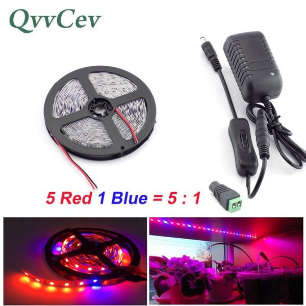 grow lights qvvcev 2m 3m 5m led plant strip light 5 red 1 blue waterproof for flower lamp greenhouse hydroponics + ac adapter t1
grow lights qvvcev 2m 3m 5m led plant strip light 5 red 1 blue waterproof for flower lamp greenhouse hydroponics + ac adapter t1