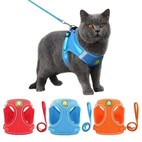 cat collars & leads reflective harness vest with walking lead leash nylon mesh adjustable collar pets accessories for and set
cat collars & leads reflective harness vest with walking lead leash nylon mesh adjustable collar pets accessories for and set