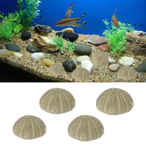 decorations natural sea urchin reptile box aquarium gardening diy art craft ornament l29k
decorations natural sea urchin reptile box aquarium gardening diy art craft ornament l29k
