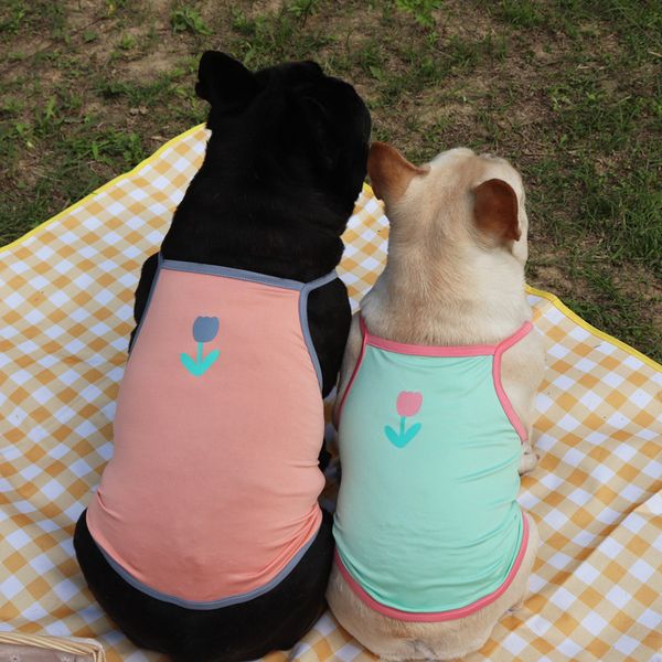 dog cloth spring and summer fadou vt pet suspender teddy is thinner than bear breathable
dog cloth spring and summer fadou vt pet suspender teddy is thinner than bear breathable