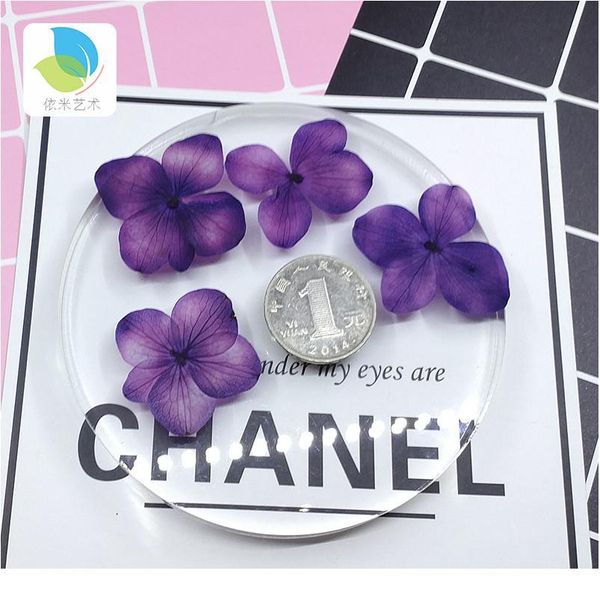 hydrangea small real dried flower dry plants for candle epoxy resin pendant necklace jewelry making craft diy a jllkri
hydrangea small real dried flower dry plants for candle epoxy resin pendant necklace jewelry making craft diy a jllkri