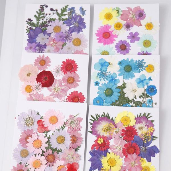 1 bag real dried flower material dyeing flower for epoxy resin pendant necklace jewelry making craft phone case diy acc qylayq
1 bag real dried flower material dyeing flower for epoxy resin pendant necklace jewelry making craft phone case diy acc qylayq
