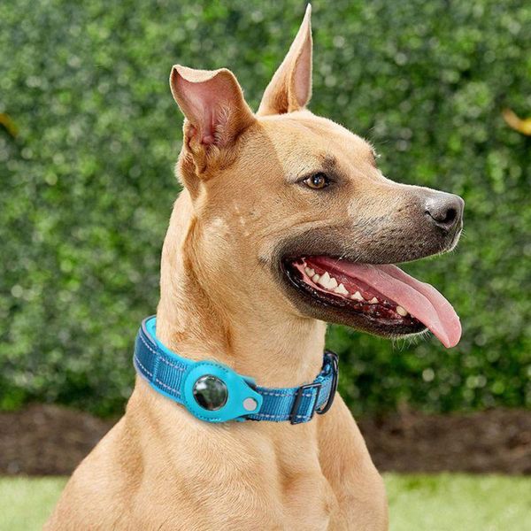 cat collars & leads pet dog nylon reflective design adjustable positioning collar protective cover suitable for apple airtag tracker
cat collars & leads pet dog nylon reflective design adjustable positioning collar protective cover suitable for apple airtag tracker