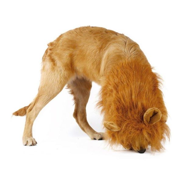 pet costume lion mane wig with/without ears for large dog halloween clothes fancy dress up hfing
pet costume lion mane wig with/without ears for large dog halloween clothes fancy dress up hfing