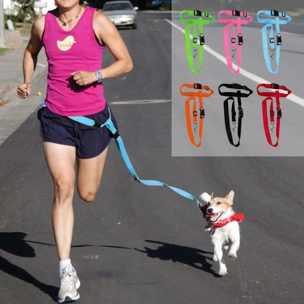 dog collars & leashes 1pc adjustable pet traction leash hands chest strap for running walking jogging
dog collars & leashes 1pc adjustable pet traction leash hands chest strap for running walking jogging