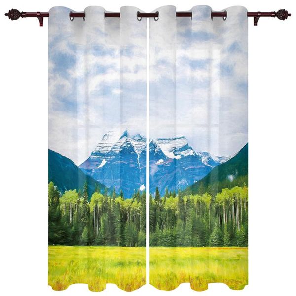 exquisite home curtains mountain grassland living room bedroom kitchen translucent polyester decorative curtains
exquisite home curtains mountain grassland living room bedroom kitchen translucent polyester decorative curtains