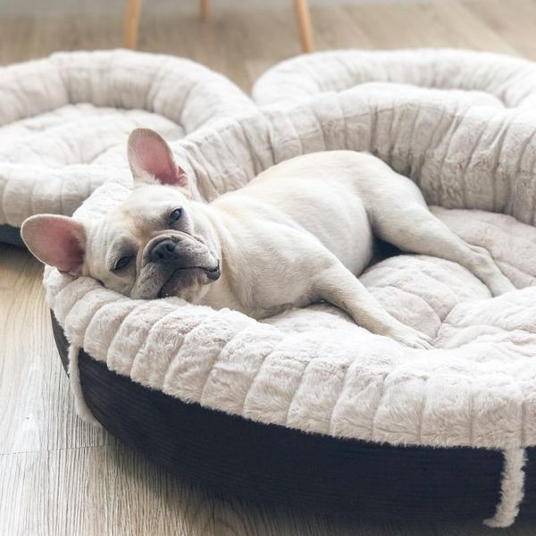 plush dog mat autumn and winter dog's nest round nest cat's plush teddy fadoubi bear mattress sleeping mat warm
plush dog mat autumn and winter dog's nest round nest cat's plush teddy fadoubi bear mattress sleeping mat warm