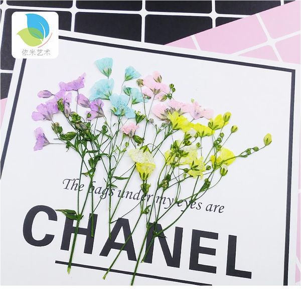 babysbreath small real dried flower dry plants for candle epoxy resin pendant necklace jewelry making craft diy a jlldza
babysbreath small real dried flower dry plants for candle epoxy resin pendant necklace jewelry making craft diy a jlldza