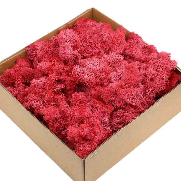 decorative flowers & wreaths flower material mini garden micro landscape fake moss200g/box artificial plant immortal moss / home decoration
decorative flowers & wreaths flower material mini garden micro landscape fake moss200g/box artificial plant immortal moss / home decoration