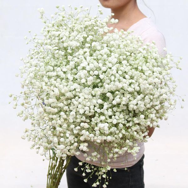 100g big bunch baby breath natural dried preserved gypsophila flower for wedding home decor valentines day gift craft
100g big bunch baby breath natural dried preserved gypsophila flower for wedding home decor valentines day gift craft