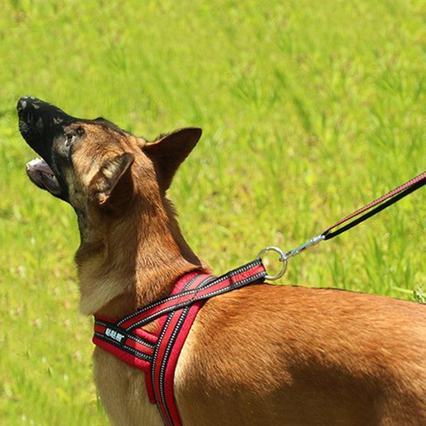 dog collars & leashes harness leash set reflective pet vest harnesses for small medium large dogs daily training walking outdoor leads s-xl
dog collars & leashes harness leash set reflective pet vest harnesses for small medium large dogs daily training walking outdoor leads s-xl