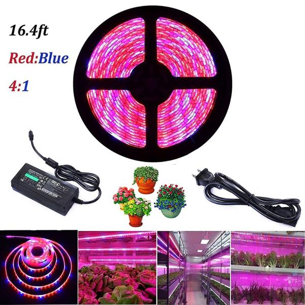 led grow light full spectrum 300 led grow light strip waterproof smd plant growth for greenhouse hydroponic plants
led grow light full spectrum 300 led grow light strip waterproof smd plant growth for greenhouse hydroponic plants
