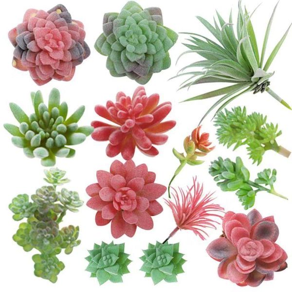 11pcs simulation succulents artificial plant succulent micro landscape retro bonsai plant ornament decoration
11pcs simulation succulents artificial plant succulent micro landscape retro bonsai plant ornament decoration