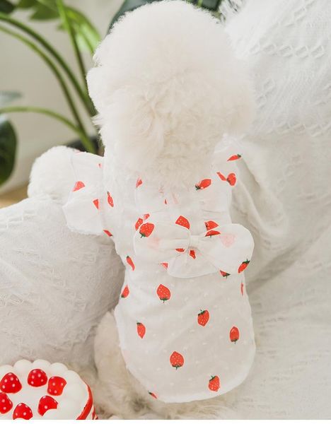 dog apparel puppy cat thin section breathable bowknot in spring and summer dress lace skirt of small medium-sized feet
dog apparel puppy cat thin section breathable bowknot in spring and summer dress lace skirt of small medium-sized feet