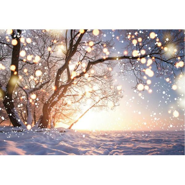 party decoration christmas pography backdrops borns xmas decor background snowy family holiday po booth studio props
party decoration christmas pography backdrops borns xmas decor background snowy family holiday po booth studio props