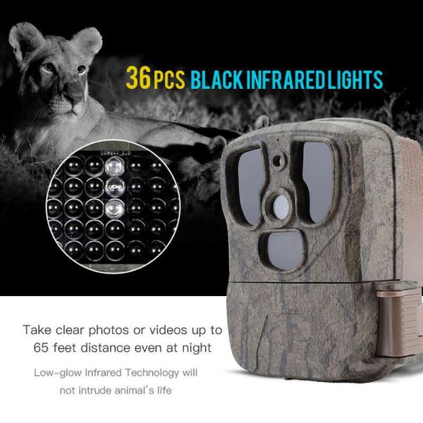 s300 wild hunting trail camera infrared night vision wildlife 1080p 20mp hd surveillance camera for home security monitoring
s300 wild hunting trail camera infrared night vision wildlife 1080p 20mp hd surveillance camera for home security monitoring