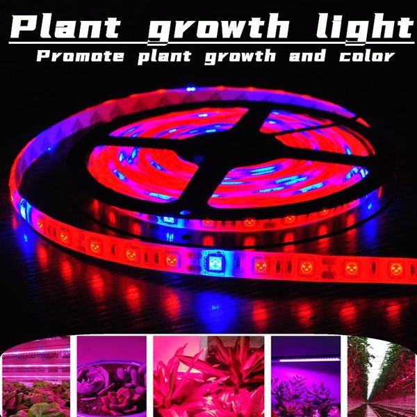 strips led strip plant grow lights 1m 2m 3m waterproof full spectrum flower phyto lamp dc 5v red and blue light bar
strips led strip plant grow lights 1m 2m 3m waterproof full spectrum flower phyto lamp dc 5v red and blue light bar