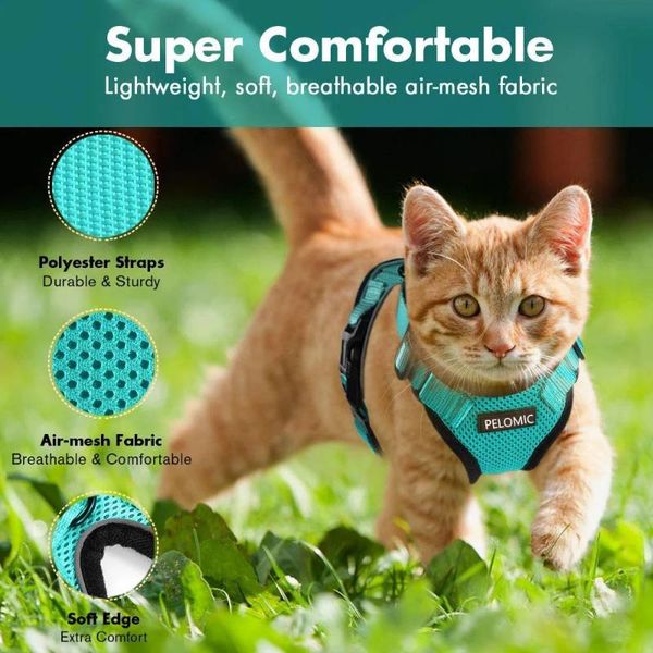 cat collars & leads harness and leash set for escape proof vest with reflective strip adjustable soft mesh kitten puppy
cat collars & leads harness and leash set for escape proof vest with reflective strip adjustable soft mesh kitten puppy
