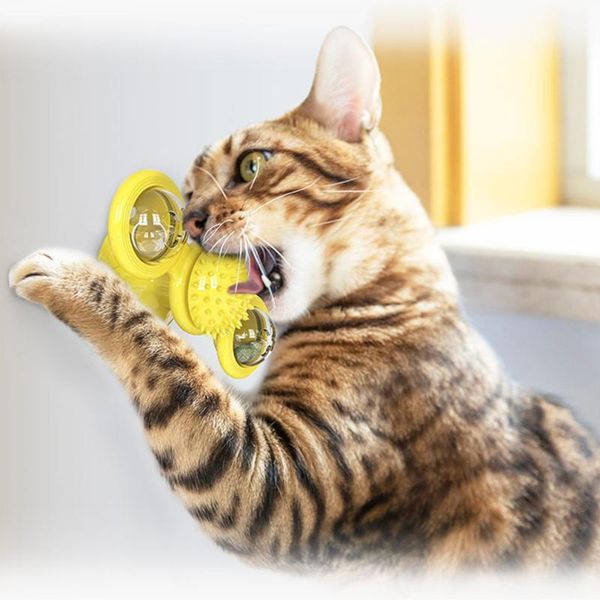 small animal supplies windmill cat toy turntable teasing pet scratching tickle cats hair brush funny chew toys
small animal supplies windmill cat toy turntable teasing pet scratching tickle cats hair brush funny chew toys