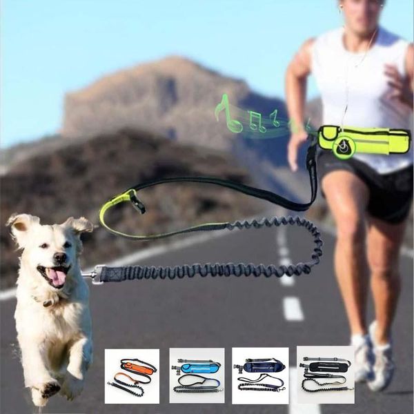 dog collars & leashes running leash with waist pocket hands dogs detachable belt reflective nylon pet traction rope
dog collars & leashes running leash with waist pocket hands dogs detachable belt reflective nylon pet traction rope