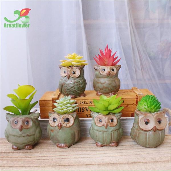 pastoral style mini artificial succulent pant potted plant imitation flowers desksmall ornaments indoor living room home dec 
pastoral style mini artificial succulent pant potted plant imitation flowers desksmall ornaments indoor living room home dec